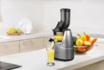 B6000 Slow Juicer - Görsel 3